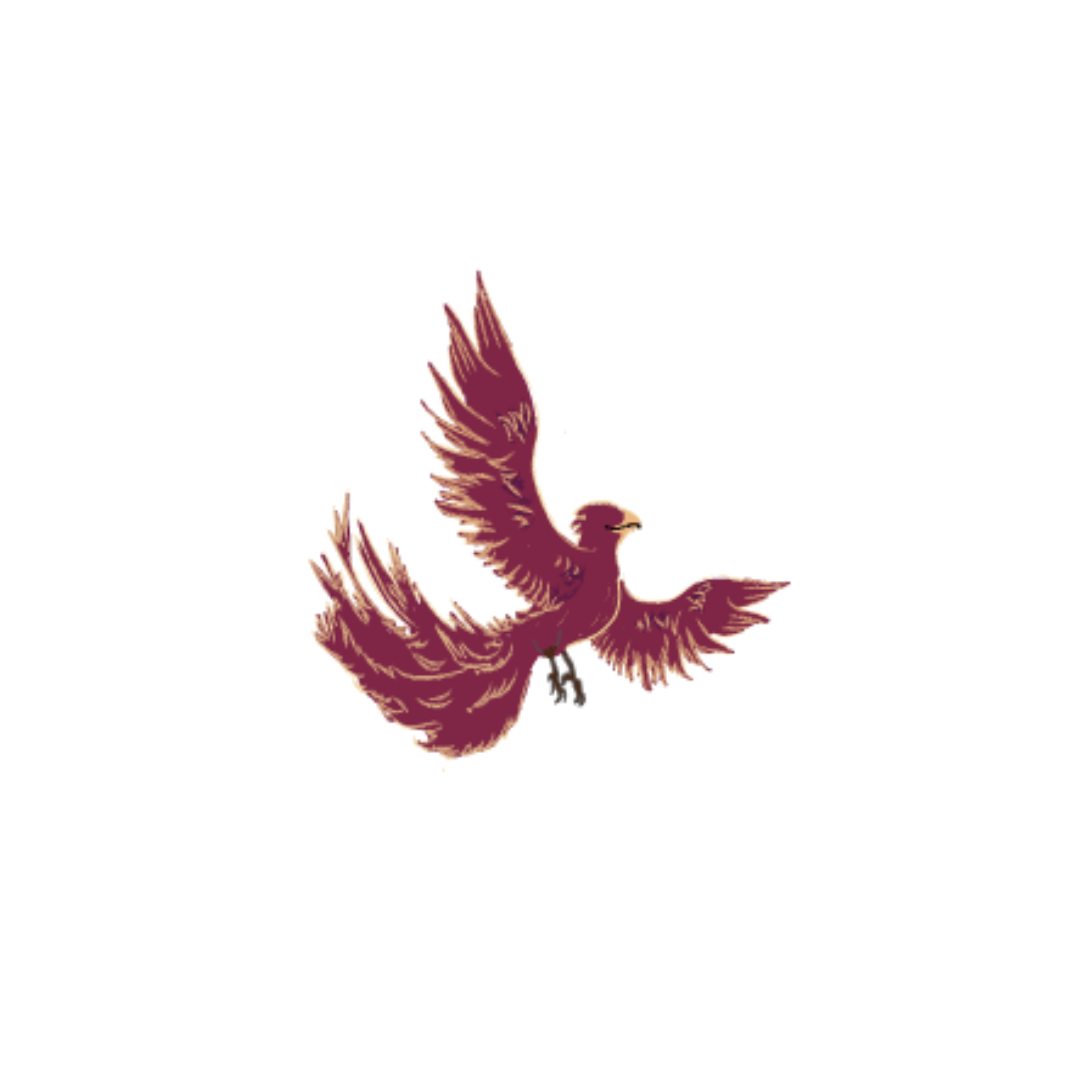The Phoenix, a brightly coloured flying animal. Colourised.