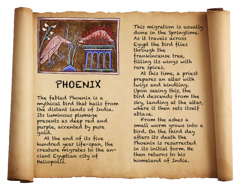 Phoenix Scroll